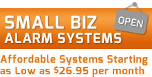 Small Business Systems